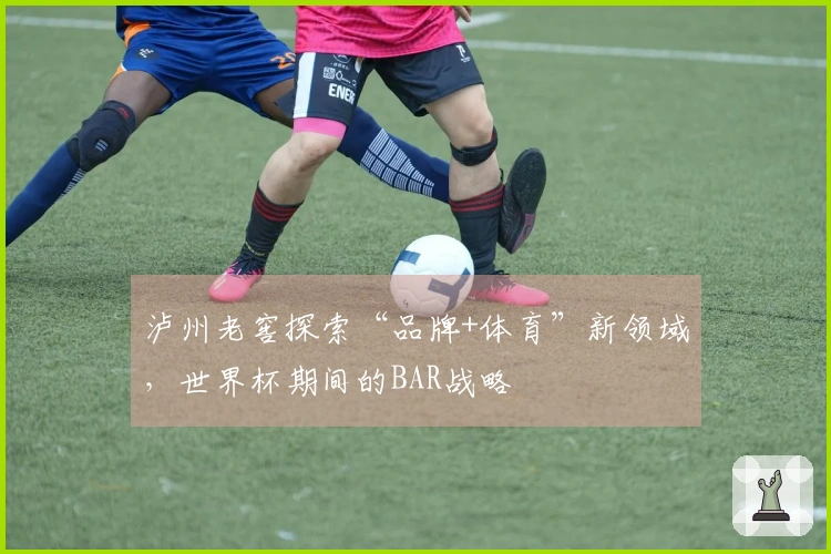 泸州老窖探索“品牌+体育”新领域，世界杯期间的BAR战略